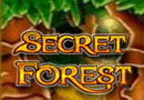 Secret Forest