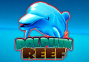 Dolphin Reef