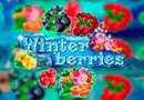 Winterberries